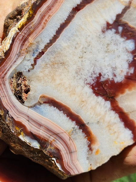 Polished Pilbara Agate PA271