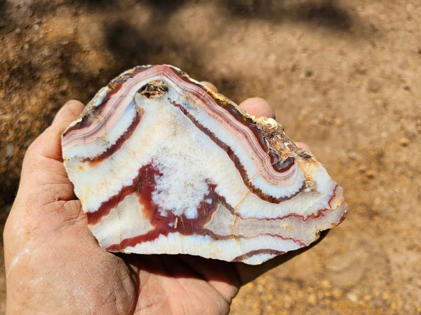 Polished Pilbara Agate PA271