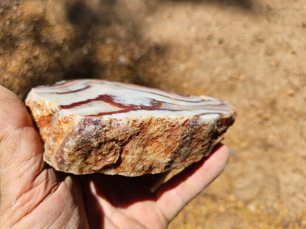 Polished Pilbara Agate PA271