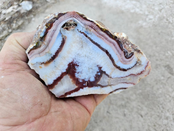 Polished Pilbara Agate PA271