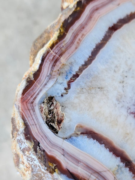 Polished Pilbara Agate PA271