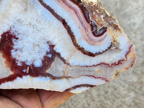 Polished Pilbara Agate PA271