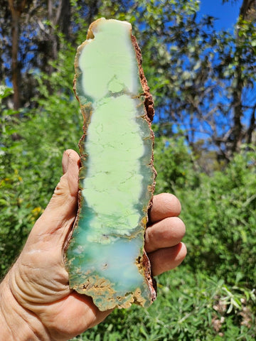 Polished Magnesite slab. MAP214