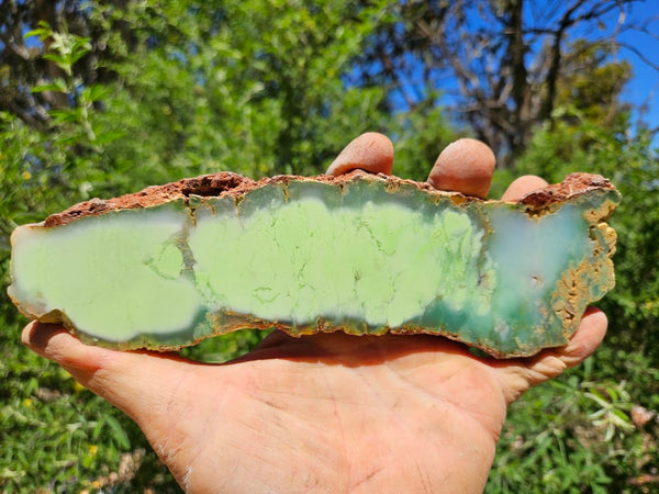 Polished Magnesite slab. MAP214