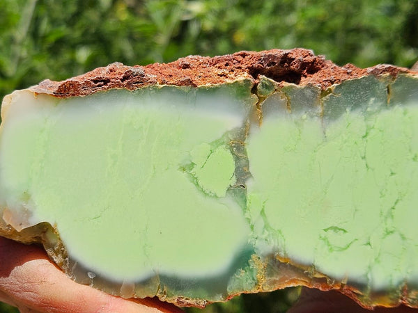 Polished Magnesite slab. MAP214