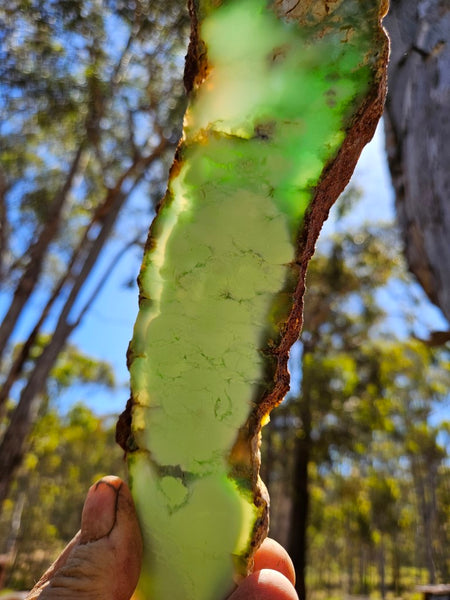 Polished Magnesite slab. MAP214