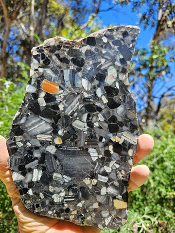 Black Jasper Conglomerate slab B228