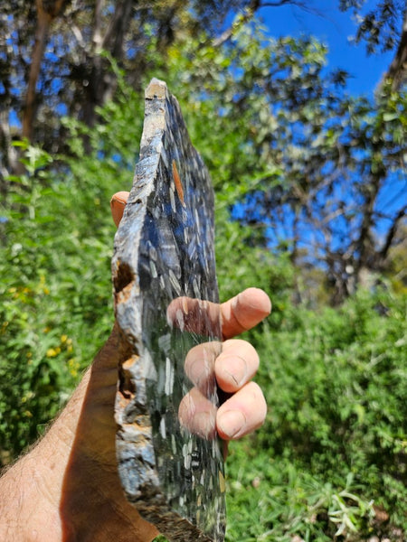 Black Jasper Conglomerate slab B228