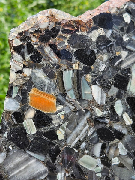 Black Jasper Conglomerate slab B228