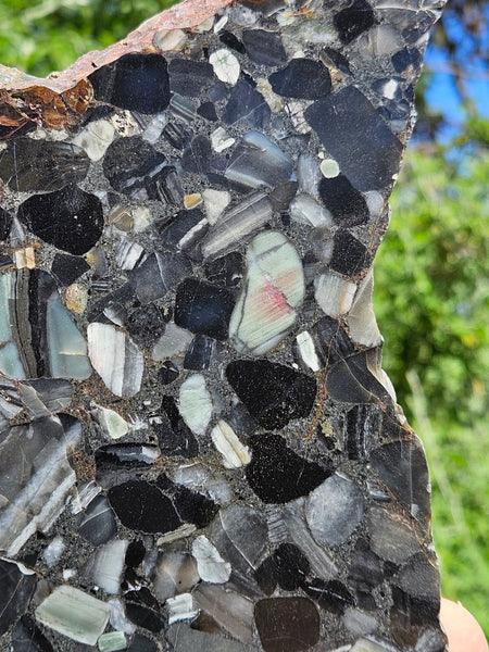 Black Jasper Conglomerate slab B228