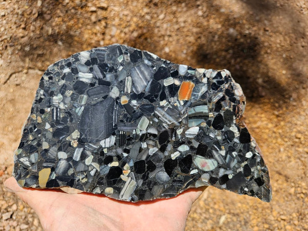 Black Jasper Conglomerate slab B228