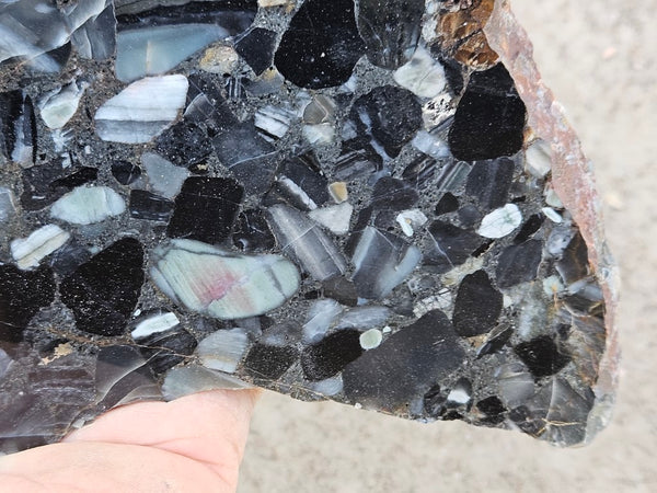 Black Jasper Conglomerate slab B228