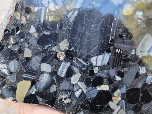 Black Jasper Conglomerate slab B228