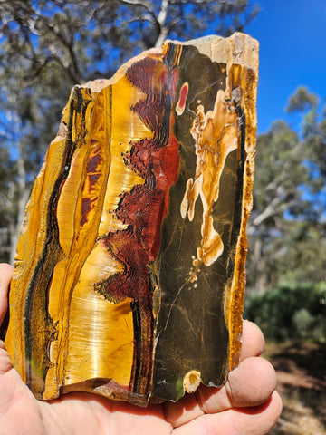 Polished Tiger Eye slab TE432