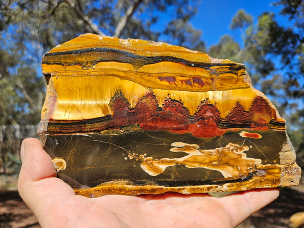 Polished Tiger Eye slab TE432