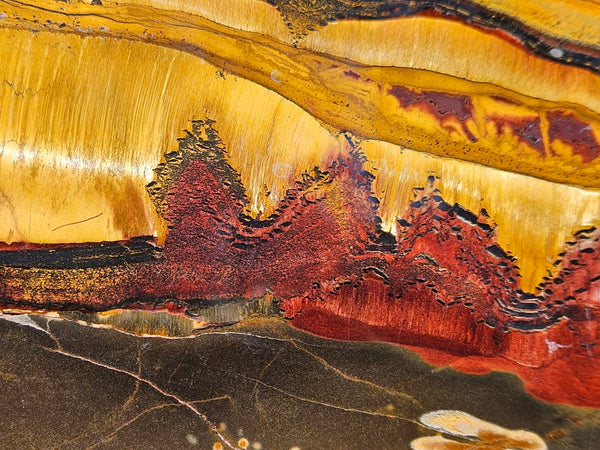 Polished Tiger Eye slab TE432