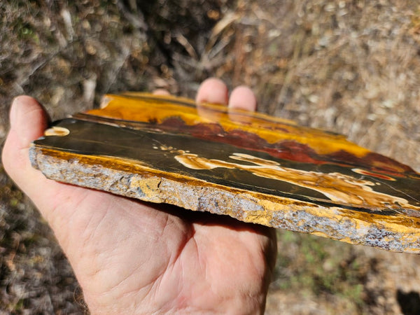 Polished Tiger Eye slab TE432