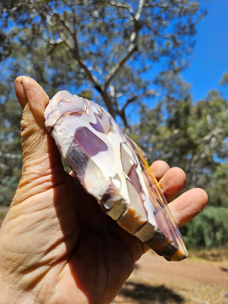 Polished  Mookaite slab MK524