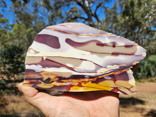 Polished  Mookaite slab MK524