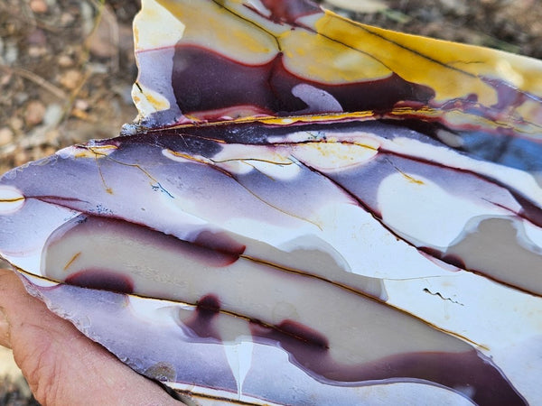 Polished  Mookaite slab MK524