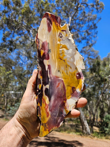 Polished  Mookaite slab MK525