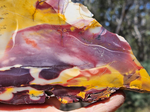 Polished  Mookaite slab MK525