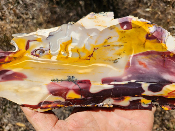 Polished  Mookaite slab MK525