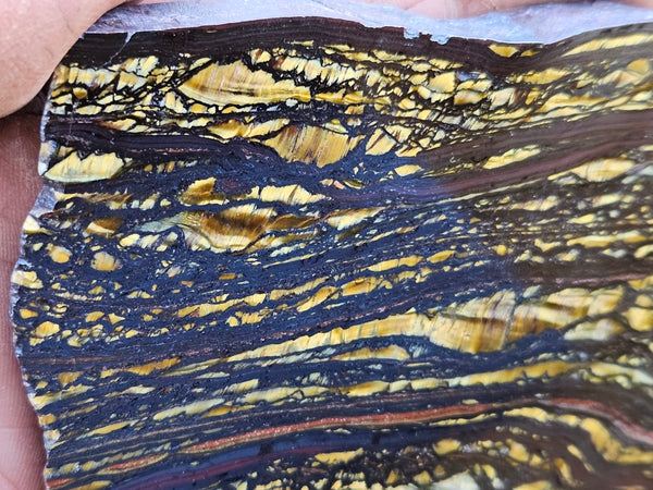 Polished Tiger Iron slab TI343