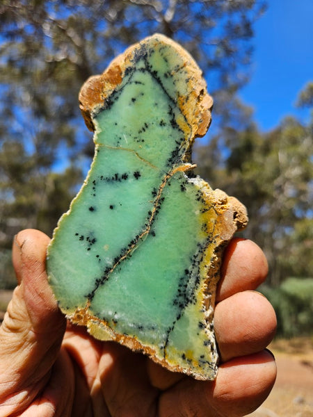 Polished Dendritic Chrysoprase slab CH473