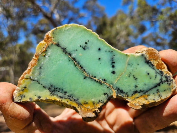 Polished Dendritic Chrysoprase slab CH473