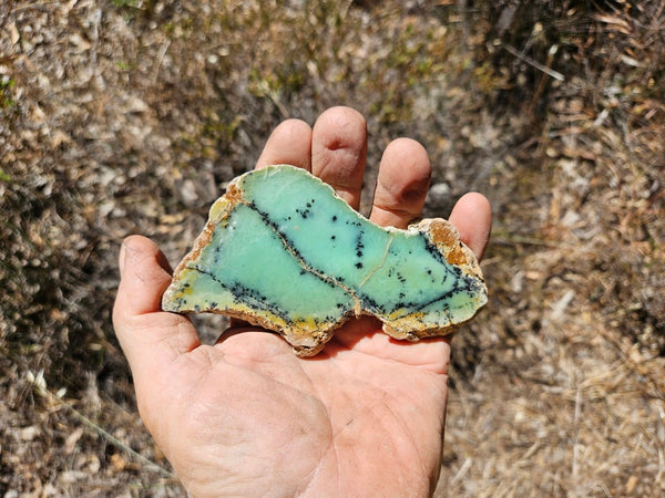 Polished Dendritic Chrysoprase slab CH473