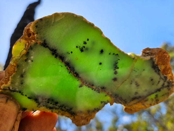 Polished Dendritic Chrysoprase slab CH473