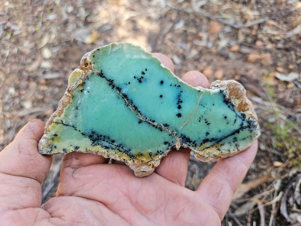 Polished Dendritic Chrysoprase slab CH473