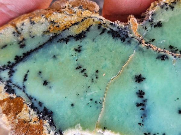 Polished Dendritic Chrysoprase slab CH473