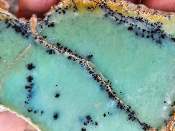 Polished Dendritic Chrysoprase slab CH473