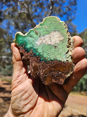 Polished Chrysoprase slab CH472