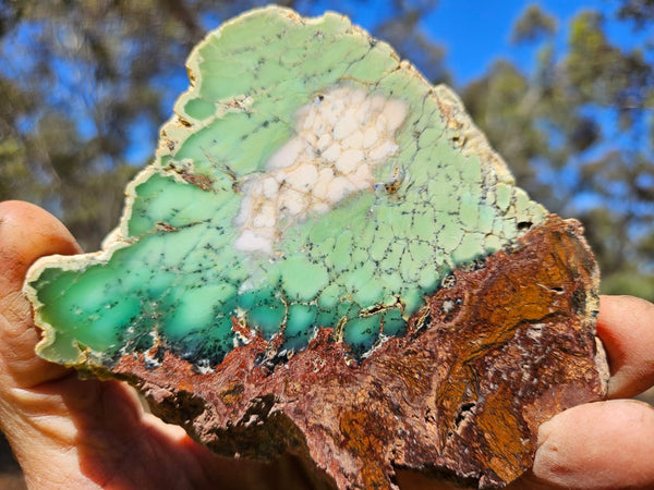 Polished Chrysoprase slab CH472