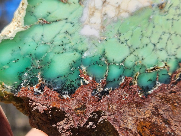 Polished Chrysoprase slab CH472