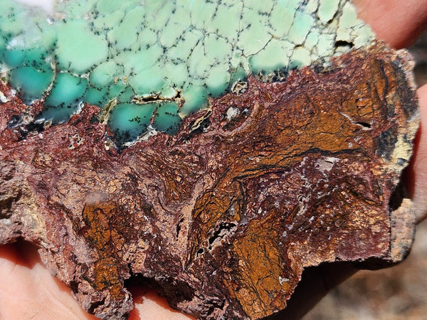 Polished Chrysoprase slab CH472