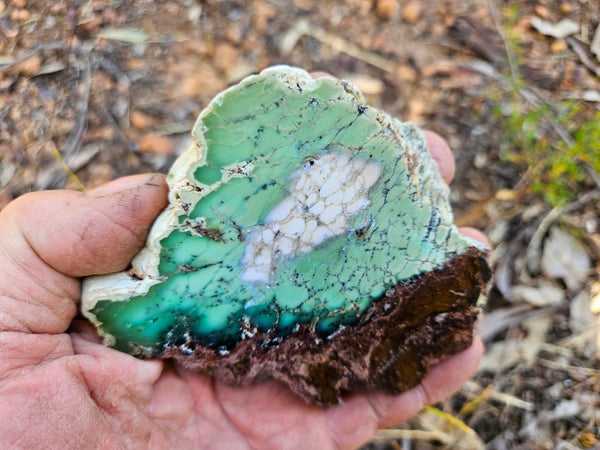 Polished Chrysoprase slab CH472