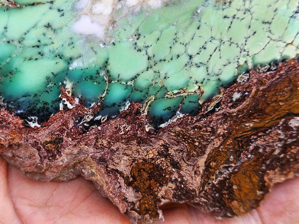 Polished Chrysoprase slab CH472