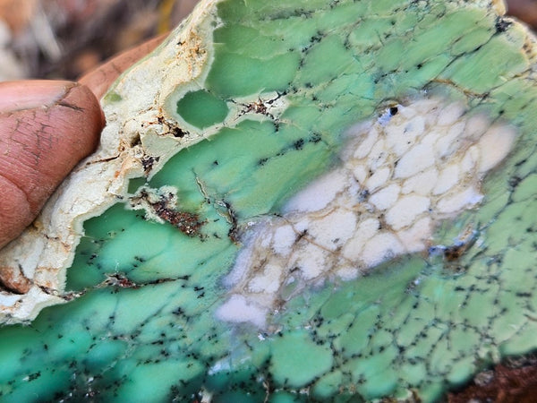 Polished Chrysoprase slab CH472