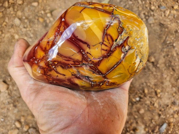 Tumble Polished Mookaite MKT178