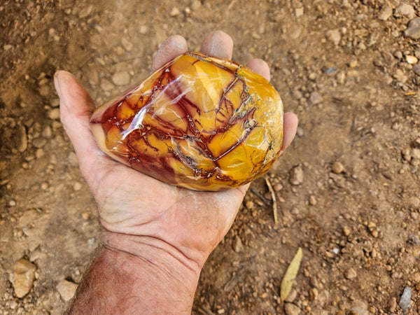 Tumble Polished Mookaite MKT178