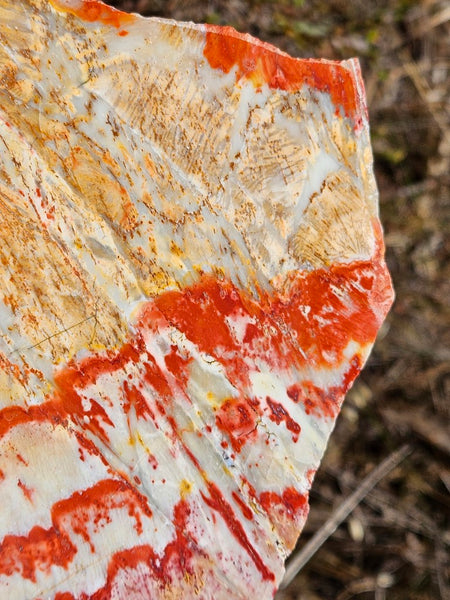 Polished Killaloe Opal slab KO111