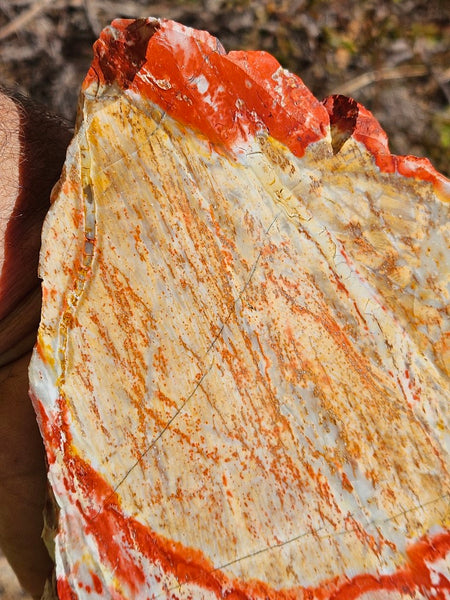 Polished Killaloe Opal slab KO111