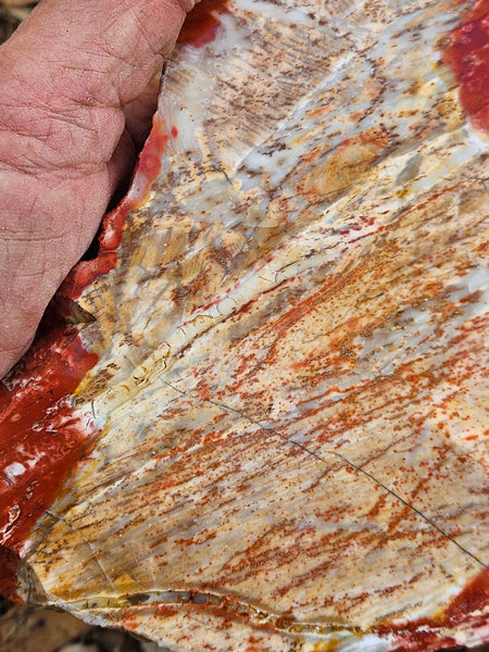 Polished Killaloe Opal slab KO111