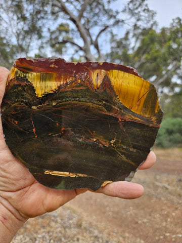 Polished Tiger Eye slab TE435