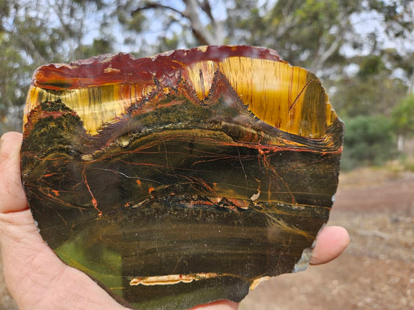 Polished Tiger Eye slab TE435