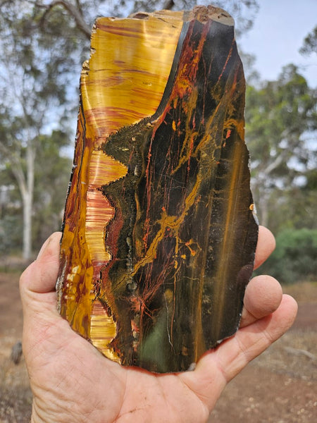 Polished Tiger Eye slab TE433